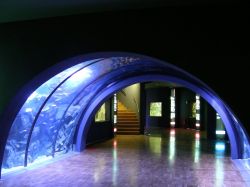 Acquario - Milano (3)